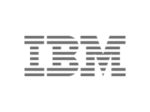 Serviços 80 ibm-logo