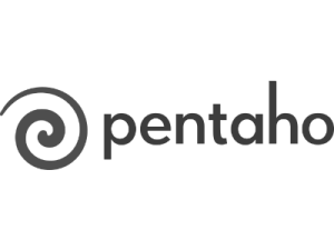 Serviços 78 pentaho-logo